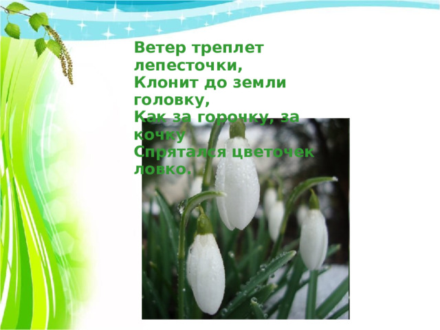 Ветер треплет лепесточки,  Клонит до земли головку,  Как за горочку, за кочку  Спрятался цветочек ловко. 