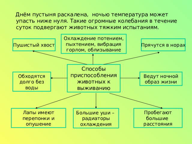 Днём пустыня раскалена, ночью температура может упасть ниже нуля. Такие огромные колебания в течение суток подвергают животных тяжким испытаниям. Охлаждение потением, пыхтением, вибрация горлом, облизывание Пушистый хвост Прячутся в норах Способы приспособления животных к выживанию Обходятся долго без воды Ведут ночной образ жизни Лапы имеют перепонки и опушение Пробегают большие расстояния Большие уши – радиаторы охлаждения 