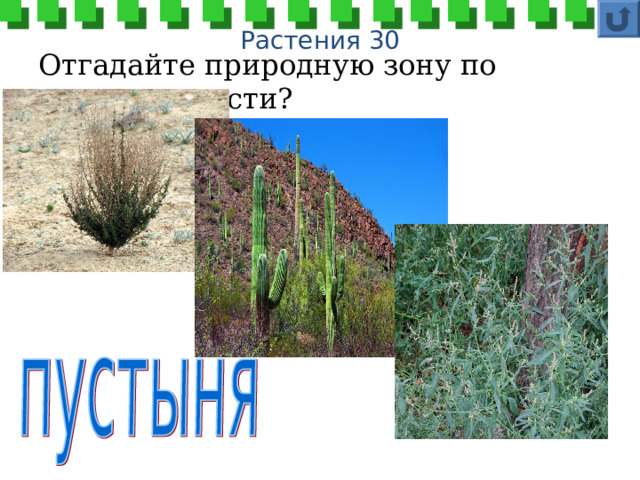 Растения 30 Отгадайте природную зону по растительности? 
