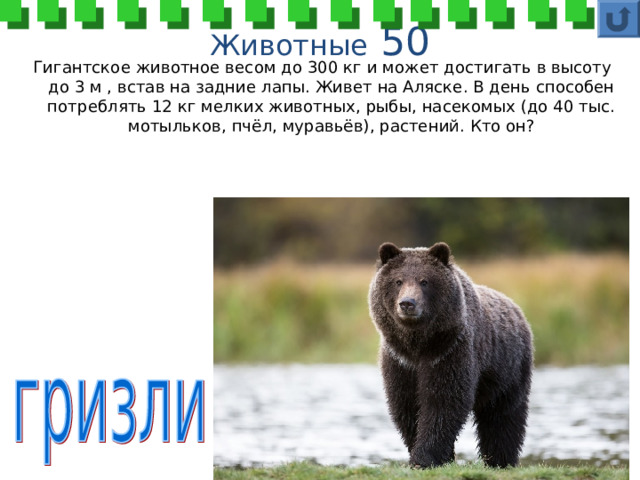Животные 50 Гигантское животное весом до 300 кг и может достигать в высоту до 3 м , встав на задние лапы. Живет на Аляске. В день способен потреблять 12 кг мелких животных, рыбы, насекомых (до 40 тыс. мотыльков, пчёл, муравьёв), растений. Кто он? 