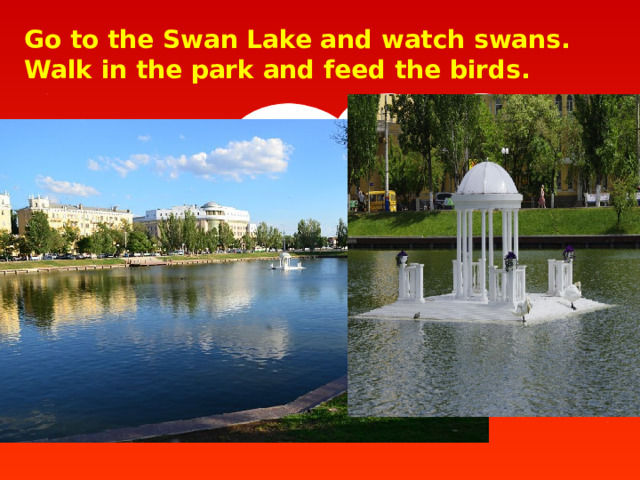 Go to the Swan Lake and watch swans. Walk in the park and feed the birds.  