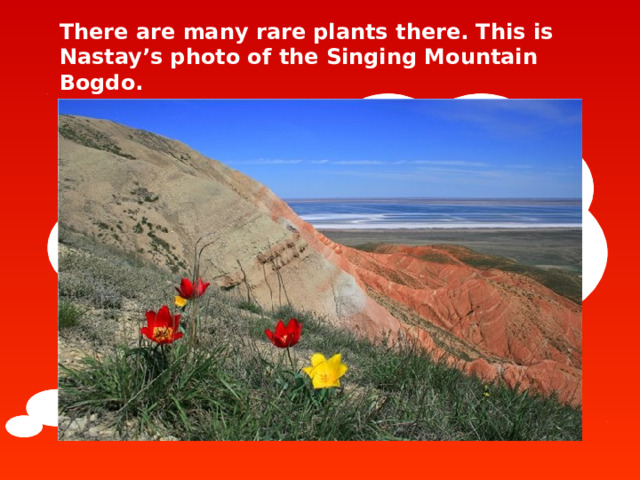 There are many rare plants there. This is Nastay’s photo of the Singing Mountain Bogdo.  