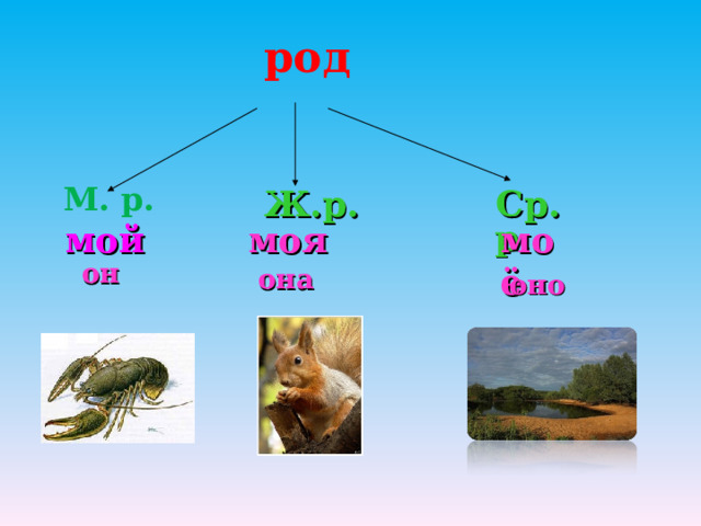 род М. р.  Ср. р.  Ж.р.  мой моя моё он она оно 