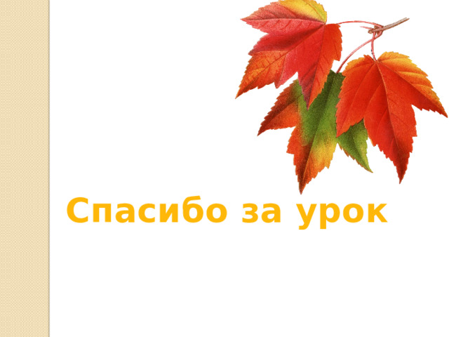 Спасибо за урок 