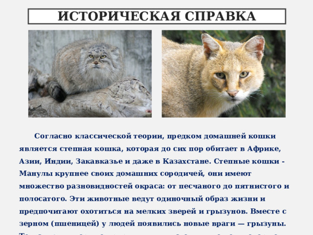 ИСТОРИЧЕСКАЯ СПРАВКА Согласно классической теории, предком домашней кошки является степная кошка, которая до сих пор обитает в Африке, Азии, Индии, Закавказье и даже в Казахстане. Степные кошки - Манулы крупнее своих домашних сородичей, они имеют множество разновидностей окраса: от песчаного до пятнистого и полосатого. Эти животные ведут одиночный образ жизни и предпочитают охотиться на мелких зверей и грызунов. Вместе с зерном (пшеницей) у людей появились новые враги — грызуны. Тогда люди впервые приручили пять степных кошек, которые защищали зерно. Они и стали прародителями всех существующих сегодня домашних кошек.  