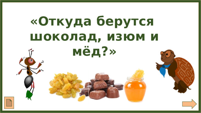 «Откуда берутся шоколад, изюм и мёд?» 