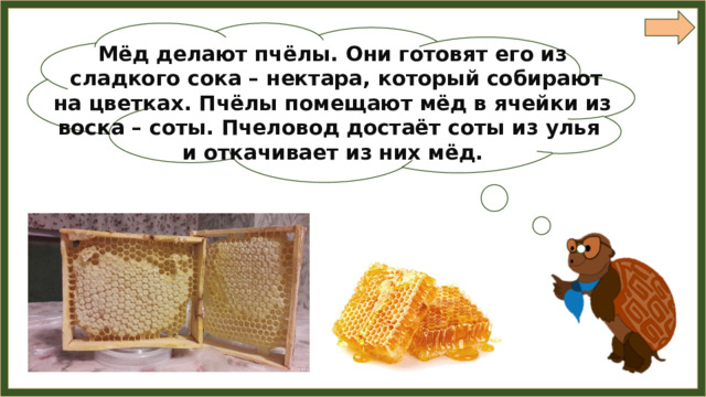 Мёд делают пчёлы. Они готовят его из  сладкого сока – нектара, который собирают на цветках. Пчёлы помещают мёд в ячейки из воска – соты. Пчеловод достаёт соты из улья и откачивает из них мёд. 