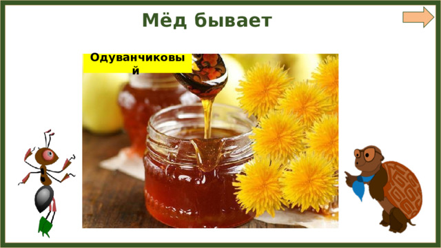 Мёд бывает Липовый Гречишный Одуванчиковый Акациевый Каштановый 