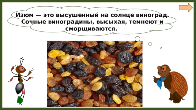 Изюм — это высушенный на солнце виноград. Сочные виноградины, высыхая, темнеют и сморщиваются. 