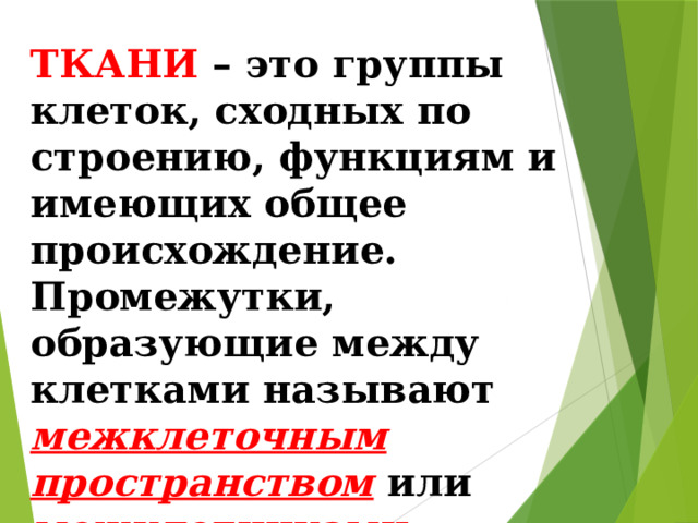 ТКАНИ – это группы клеток, сходных по строению, функциям и имеющих общее происхождение. Промежутки, образующие между клетками называют межклеточным  пространством или межклетниками . 