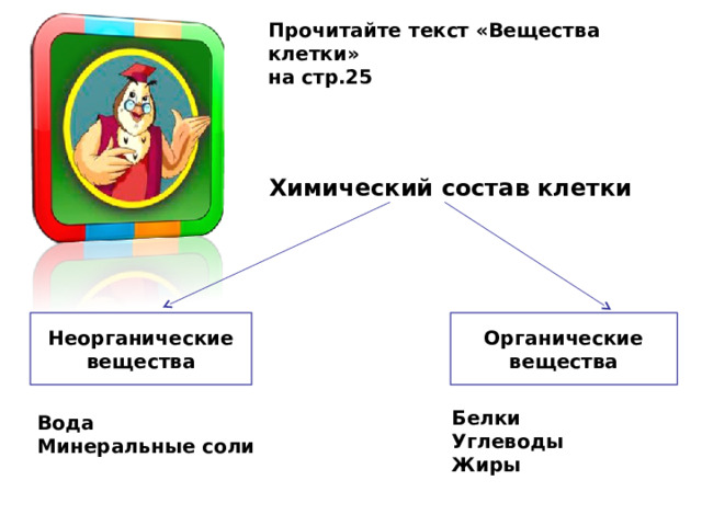 Прочитайте текст «Вещества клетки» на стр.25 Химический состав клетки Неорганические вещества Органические вещества Белки Углеводы Жиры Вода Минеральные соли 