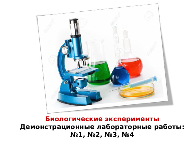 Биологические эксперименты Демонстрационные лабораторные работы: № 1, №2, №3, №4 