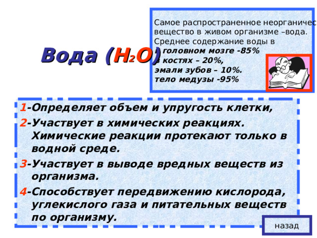 Самое распространенное неорганическое вещество в живом организме –вода. Среднее содержание воды в в головном мозге -85% в костях – 20%, эмали зубов – 10%. тело медузы -95%  Вода ( Н 2 О ) 1 -Определяет объем и упругость клетки, 2 -Участвует в химических реакциях. Химические реакции протекают только в водной среде. 3 -Участвует в выводе вредных веществ из организма. 4 -Способствует передвижению кислорода, углекислого газа и питательных веществ по организму. назад 
