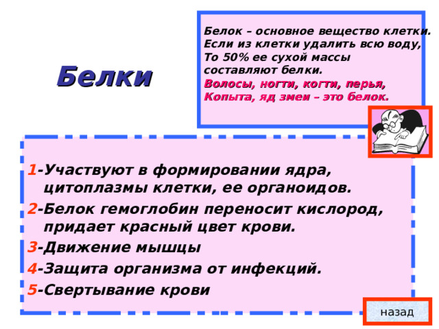 Белок – основное вещество клетки. Если из клетки удалить всю воду, То 50% ее сухой массы составляют белки. Волосы, ногти, когти, перья, Копыта, яд змеи – это белок.   Белки  1 -Участвуют в формировании ядра, цитоплазмы клетки, ее органоидов. 2 -Белок гемоглобин переносит кислород, придает красный цвет крови. 3 -Движение мышцы 4 -Защита организма от инфекций. 5 -Свертывание крови  назад 