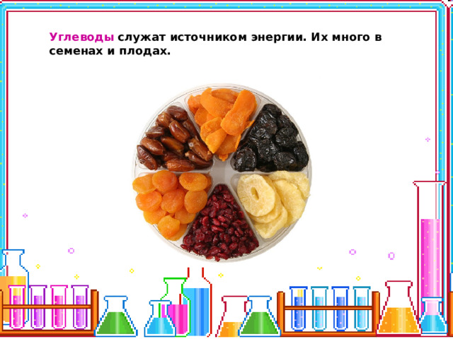 Углеводы служат источником энергии. Их много в семенах и плодах. 