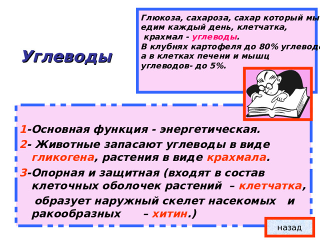 Глюкоза, сахароза, сахар который мы едим каждый день, клетчатка,  крахмал - углеводы . В клубнях картофеля до 80% углеводов, а в клетках печени и мышц углеводов- до 5%.      Углеводы    1 -Основная функция - энергетическая. 2 - Животные запасают углеводы в виде гликогена , растения в виде крахмала . 3 -Опорная и защитная (входят в состав клеточных оболочек растений – клетчатка ,  образует наружный скелет насекомых и ракообразных – хитин .)  назад 