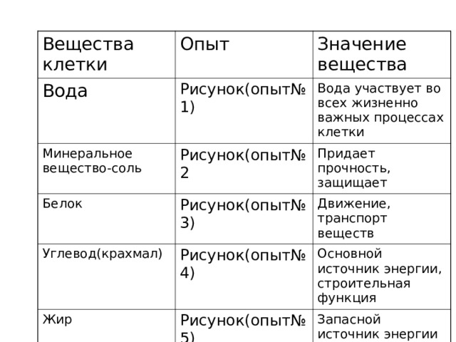 Вещества клетки Опыт Вода Значение вещества Рисунок(опыт№1) Минеральное вещество-соль Вода участвует во всех жизненно важных процессах клетки Белок Рисунок(опыт№2 Придает прочность, защищает Рисунок(опыт№3) Углевод(крахмал) Движение, транспорт веществ Рисунок(опыт№4) Жир Основной источник энергии, строительная функция Рисунок(опыт№5) Запасной источник энергии 