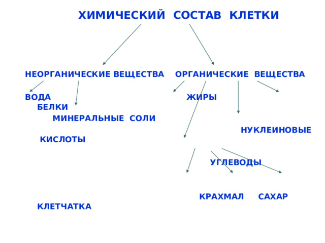 ХИМИЧЕСКИЙ СОСТАВ КЛЕТКИ     НЕОРГАНИЧЕСКИЕ ВЕЩЕСТВА ОРГАНИЧЕСКИЕ ВЕЩЕСТВА  ВОДА ЖИРЫ БЕЛКИ  МИНЕРАЛЬНЫЕ СОЛИ  НУКЛЕИНОВЫЕ КИСЛОТЫ   УГЛЕВОДЫ    КРАХМАЛ САХАР КЛЕТЧАТКА 40 40 