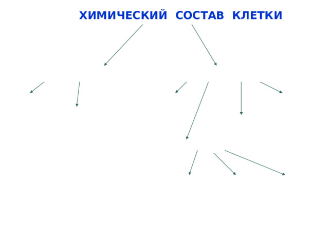ХИМИЧЕСКИЙ СОСТАВ КЛЕТКИ     НЕОРГАНИЧЕСКИЕ ВЕЩЕСТВА ОРГАНИЧЕСКИЕ ВЕЩЕСТВА  ВОДА ЖИРЫ БЕЛКИ  МИНЕРАЛЬНЫЕ СОЛИ  НУКЛЕИНОВЫЕ КИСЛОТЫ   УГЛЕВОДЫ    КРАХМАЛ САХАР КЛЕТЧАТКА 40 40 