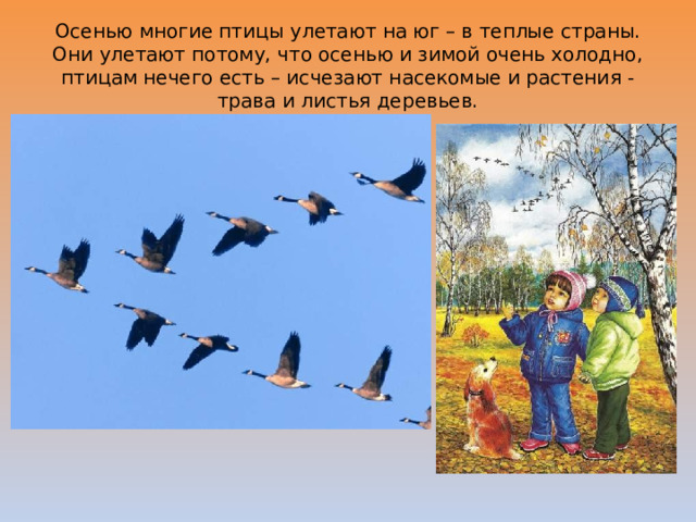 Осенью многие птицы улетают на юг – в теплые страны. Они улетают потому, что осенью и зимой очень холодно, птицам нечего есть – исчезают насекомые и растения - трава и листья деревьев. 