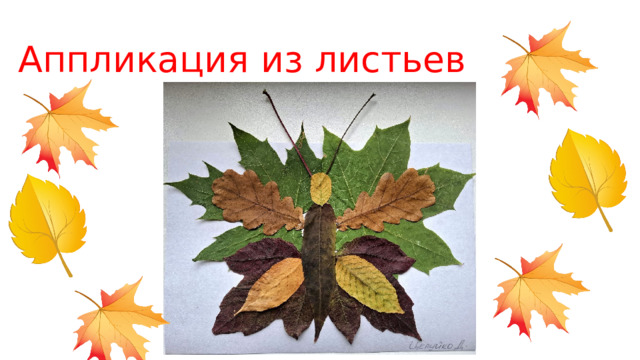 Аппликация из листьев 