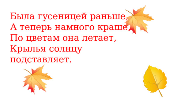 Была гусеницей раньше,  А теперь намного краше,  По цветам она летает,  Крылья солнцу подставляет. 