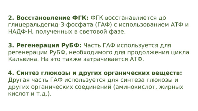 2. Восстановление ФГК: ФГК восстанавлиется до глицеральдегид-3-фосфата (ГАФ) с использованием АТФ и НАДФ·H, полученных в световой фазе. 3. Регенерация РуБФ: Часть ГАФ используется для регенерации РуБФ, необходимого для продолжения цикла Кальвина. На это также затрачивается АТФ. 4. Синтез глюкозы и других органических веществ: Другая часть ГАФ используется для синтеза глюкозы и других органических соединений (аминокислот, жирных кислот и т.д.). 