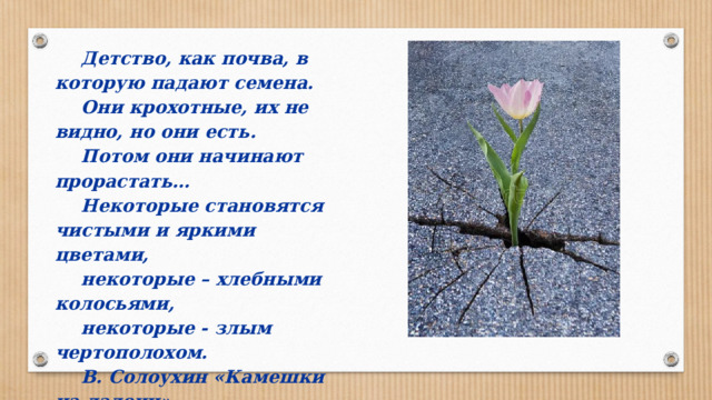 Детство, как почва, в которую падают семена. Они крохотные, их не видно, но они есть. Потом они начинают прорастать… Некоторые становятся чистыми и яркими цветами, некоторые – хлебными колосьями, некоторые - злым чертополохом. В. Солоухин «Камешки на ладони» 