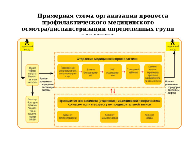 Примерная схема организации процесса профилактического медицинского осмотра/диспансеризации определенных групп взрослого 