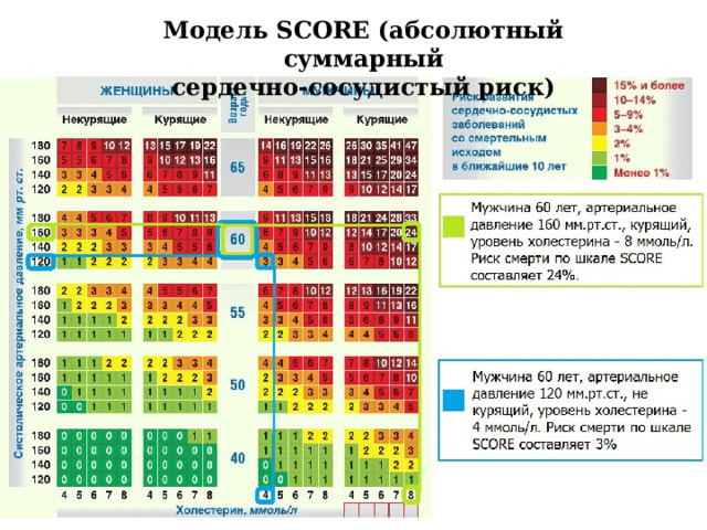 Модель SCORE (абсолютный суммарный  сердечно-сосудистый риск)  