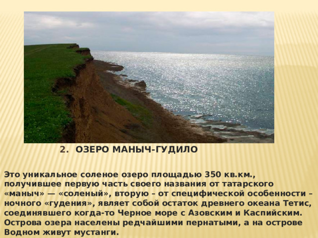 2.  Озеро Маныч-Гудило  Это уникальное соленое озеро площадью 350 кв.км., получившее первую часть своего названия от татарского «маныч» — «соленый», вторую – от специфической особенности – ночного «гудения», являет собой остаток древнего океана Тетис, соединявшего когда-то Черное море с Азовским и Каспийским. Острова озера населены редчайшими пернатыми, а на острове Водном живут мустанги. 