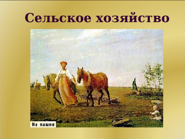 Сельское хозяйство 11 