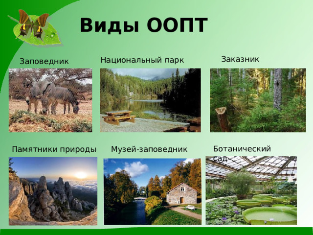 Виды ООПТ Заказник Национальный парк Заповедник Ботанический сад Памятники природы Музей-заповедник 