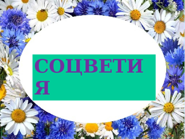 Соцветия СОЦВЕТИЯ Автор: Лабунец Ольга Юрьевна учитель биологии МОУ СОШ № 4 г. Мытищи 