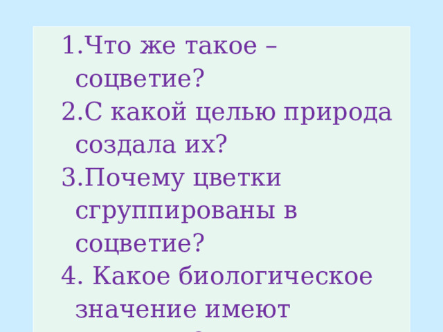 Что же такое – соцветие? С какой целью природа создала их? Почему цветки сгруппированы в соцветие?  Какое биологическое значение имеют соцветия? Что же такое – соцветие? С какой целью природа создала их? Почему цветки сгруппированы в соцветие?  Какое биологическое значение имеют соцветия? 