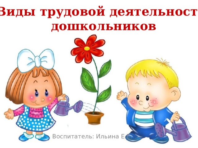 Виды трудовой деятельности дошкольников Воспитатель: Ильина Е.Е. 