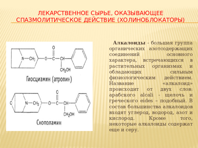 ЛЕКАРСТВЕННОЕ СЫРЬЕ, ОКАЗЫВАЮЩЕЕ СПАЗМОЛИТИЧЕСКОЕ ДЕЙСТВИЕ (ХОЛИНОБЛОКАТОРЫ)  Алкалоиды - большая группа органических азотсодержащих соединений основного характера, встречающихся в растительных организмах и обладающих сильным физиологическим действием. Название «алкалоид» происходит от двух слов: арабского alcali - щелочь и греческого eides – подобный. В состав большинства алкалоидов входят углерод, водород, азот и кислород. Кроме того, некоторые алкалоиды содержат еще и серу. 