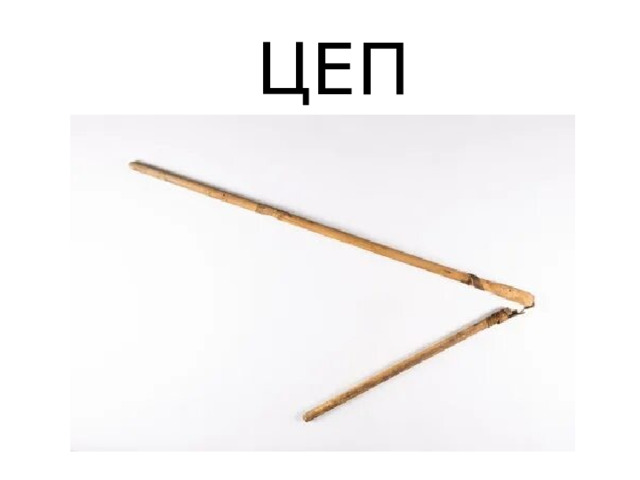 ЦЕП 