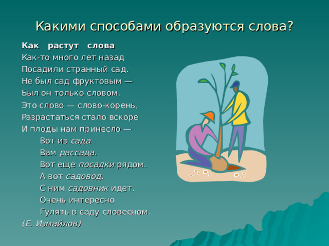 Какими способами образуются слова? Как растут слова Как-то много лет назад Посадили странный сад. Не был сад фруктовым — Был он только словом. Это слово — слово-корень, Разрастаться стало вскоре И плоды нам принесло —  Вот из сада  Вам рассада.  Вот еще посадки рядом.  А вот садовод.  С ним садовник идет.  Очень интересно  Гулять в саду словесном. (Е. Измайлов)  