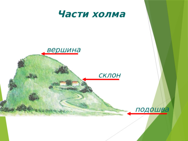 Части холма вершина склон подошва 