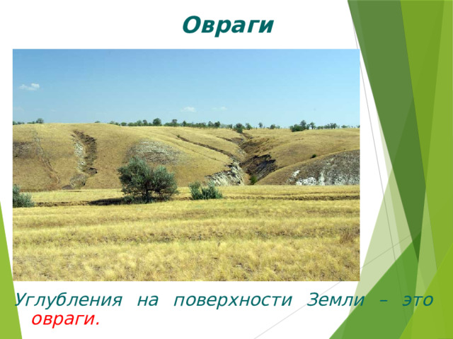 Овраги Углубления на поверхности Земли – это овраги. 