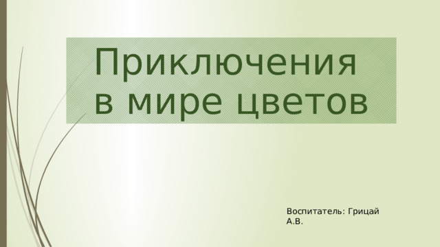 Приключения в мире цветов Воспитатель: Грицай А.В. 