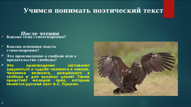 Учимся понимать поэтический текст  После чтения  Какова тема стихотворения?  Какова основная мысль стихотворения? Это произведение о свободе или о предательстве свободы? Это произведение заставляет задуматься о судьбе человека в неволе. Человека великого, рождённого в свободе и для высоких целей! Таким предстаёт молодой орёл, которым является русский поэт А.С. Пушкин.     