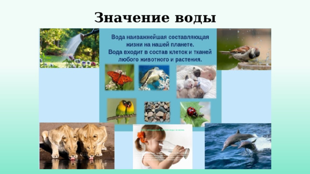 Значение воды   