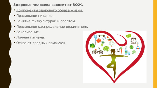 Здоровье человека зависит от ЗОЖ. Компоненты здорового образа жизни: Правильное питание. Занятие физкультурой и спортом. Правильное распределение режима дня. Закаливание. Личная гигиена. Отказ от вредных привычек 