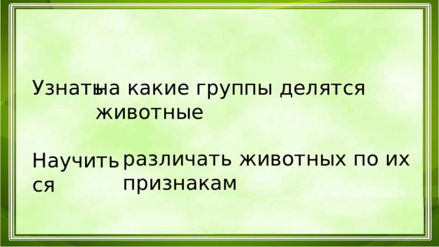 Узнать на какие группы делятся животные Научиться различать животных по их признакам 