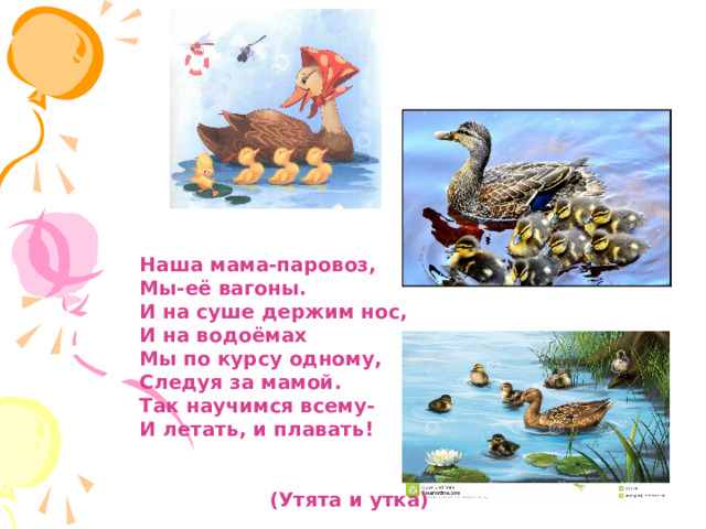 Наша мама-паровоз, Мы-её вагоны. И на суше держим нос, И на водоёмах Мы по курсу одному, Следуя за мамой. Так научимся всему- И летать, и плавать!  (Утята и утка) 