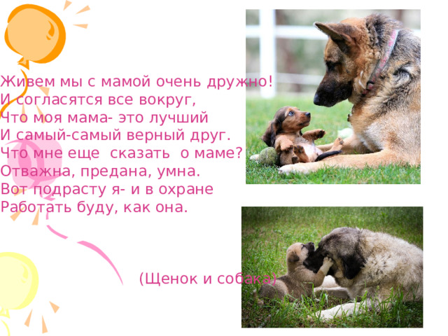 Живем мы с мамой очень дружно! И согласятся все вокруг, Что моя мама- это лучший И самый-самый верный друг. Что мне еще сказать о маме? Отважна, предана, умна. Вот подрасту я- и в охране Работать буду, как она.  (Щенок и собака) 