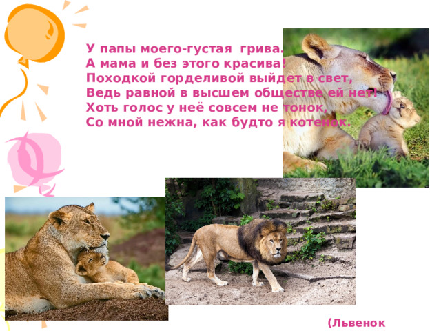 У папы моего-густая грива. А мама и без этого красива! Походкой горделивой выйдет в свет, Ведь равной в высшем обществе ей нет! Хоть голос у неё совсем не тонок, Со мной нежна, как будто я котенок.  (Львенок и львица) 
