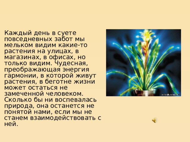Каждый день в суете повседневных забот мы мельком видим какие-то растения на улицах, в магазинах, в офисах, но только видим. Чудесная, преображающая энергия гармонии, в которой живут растения, в беготне жизни может остаться не замеченной человеком. Сколько бы ни воспевалась природа, она останется не понятой нами, если мы не станем взаимодействовать с ней. 